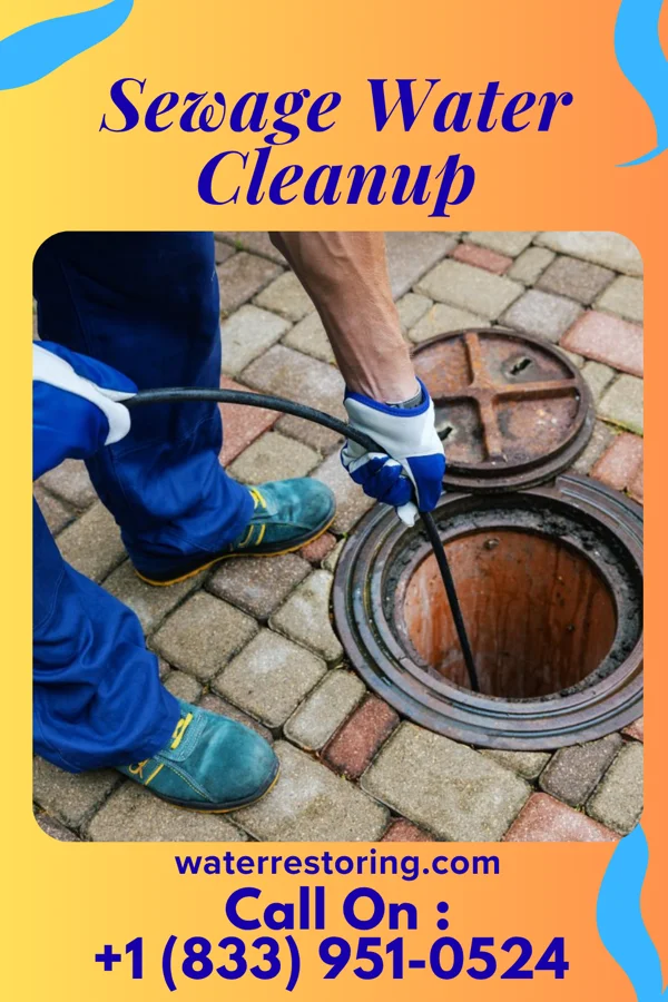 Sewage Water Cleanup in Texanna, OK